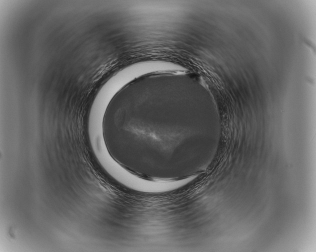 X0000095110704200712211321