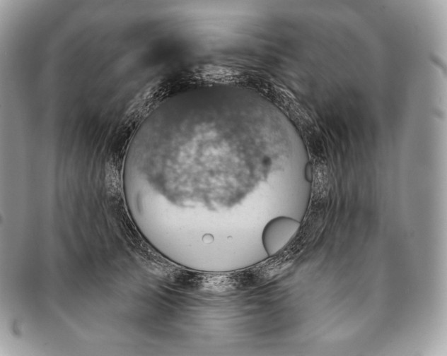 X0000095110705200712211321