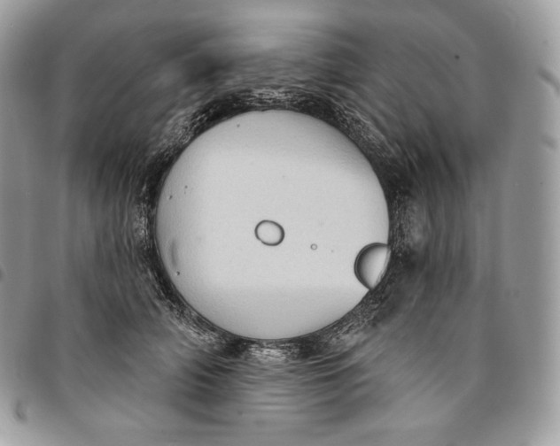 X0000095110706200712211321