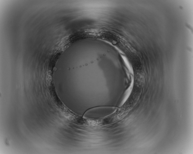 X0000095110707200712211321