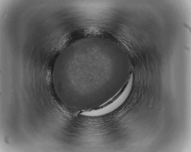 X0000095110708200712211321