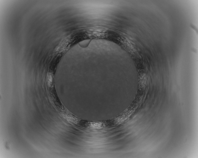 X0000095110709200712211321