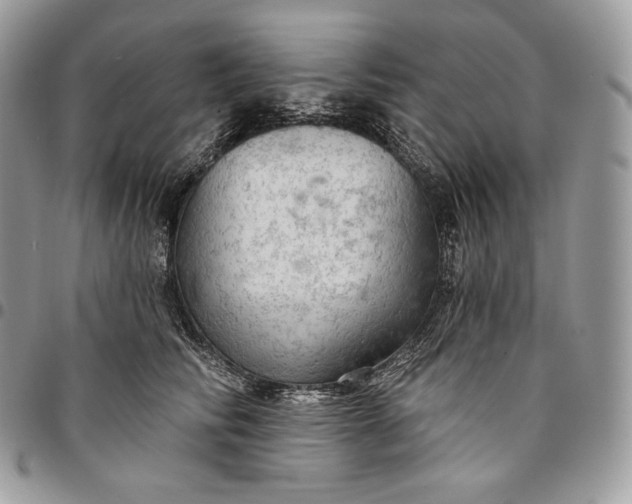 X0000095110710200712211321