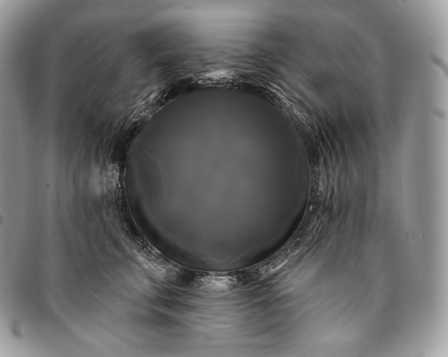 X0000095110711200712211321