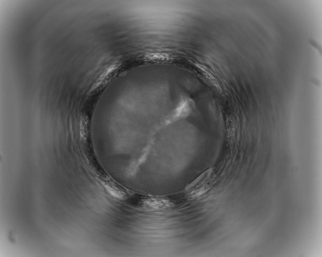 X0000095110712200712211321