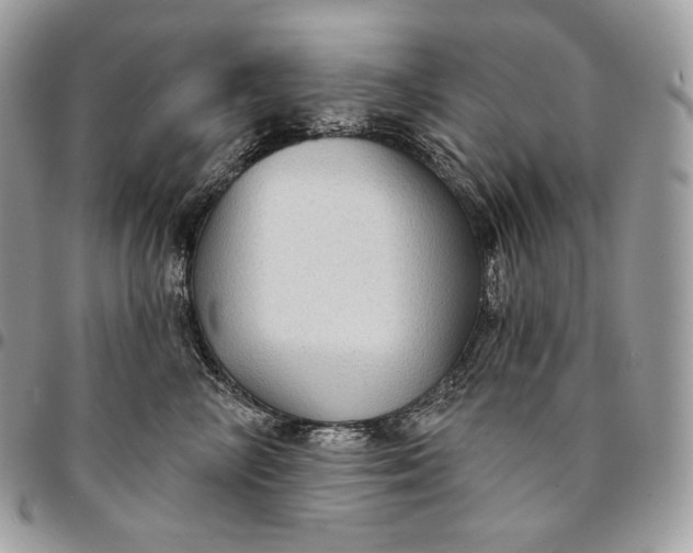 X0000095110714200712211321