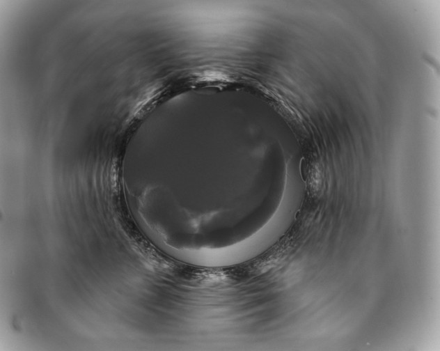 X0000095110715200712211321