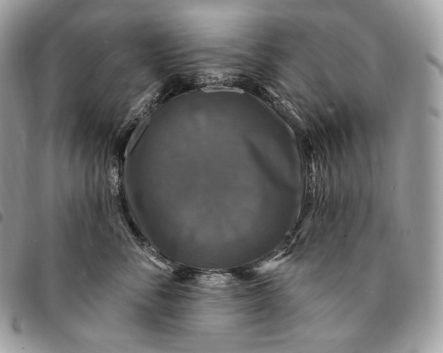 X0000095110716200712211321