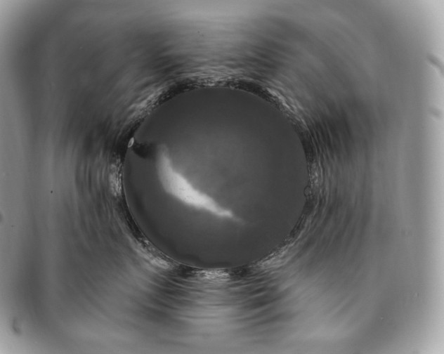 X0000095110719200712211321