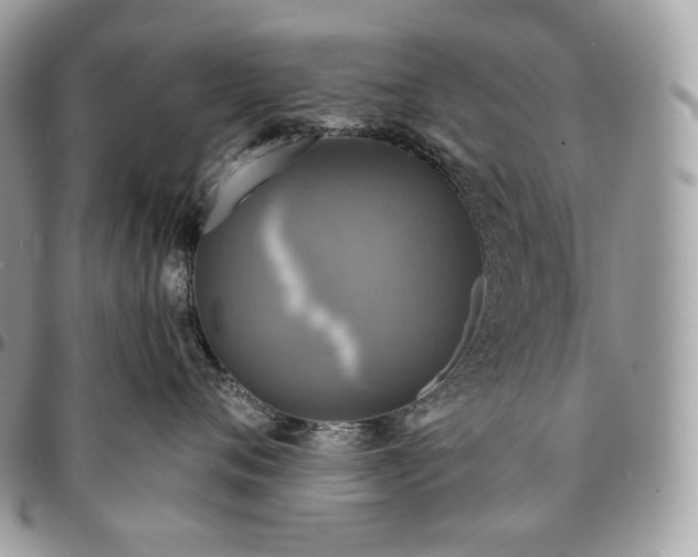 X0000095110720200712211321