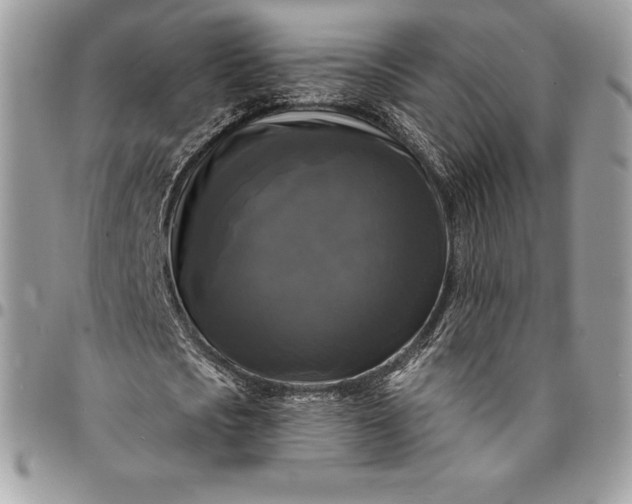 X0000095110721200712211320