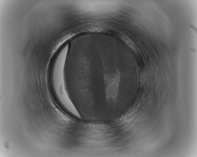 X0000095110722200712211320