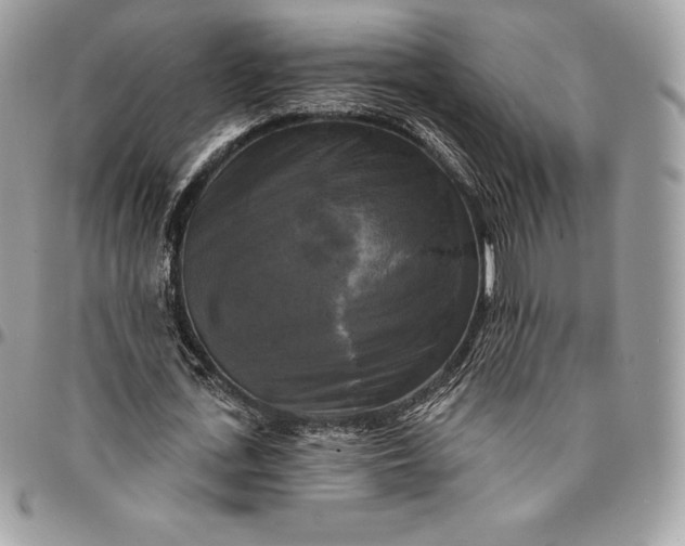 X0000095110723200712211320