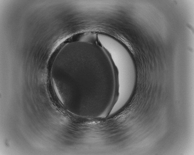 X0000095110724200712211320