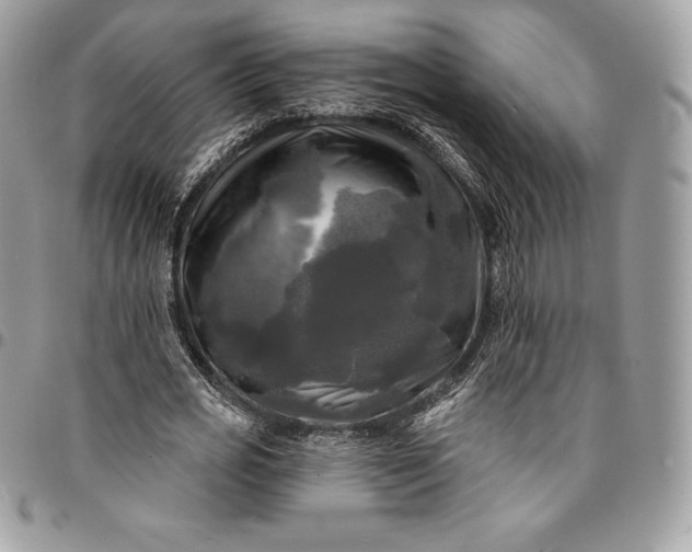 X0000095110725200712211320