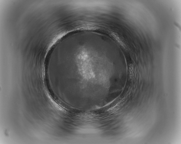 X0000095110726200712211320