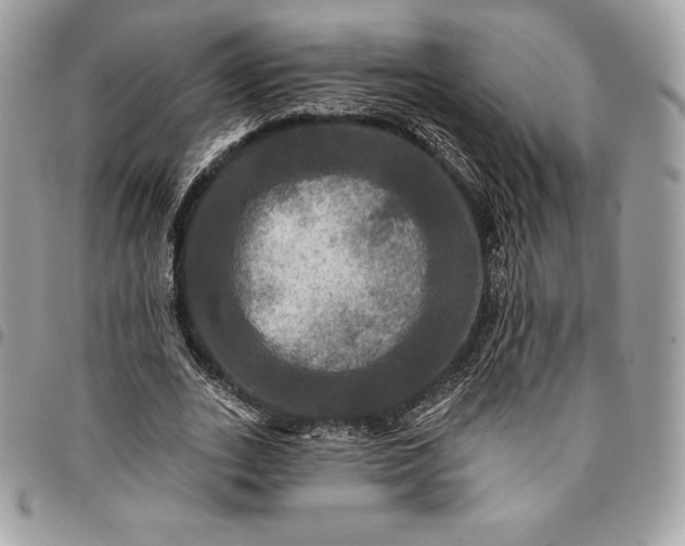 X0000095110727200712211320