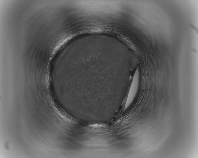 X0000095110728200712211320