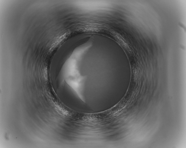 X0000095110729200712211320