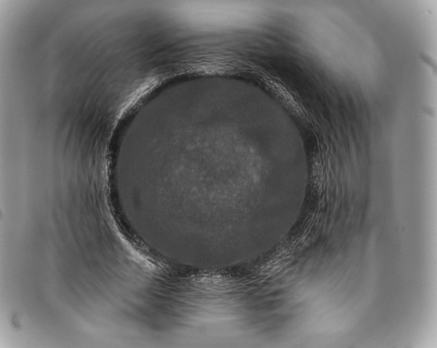 X0000095110730200712211320