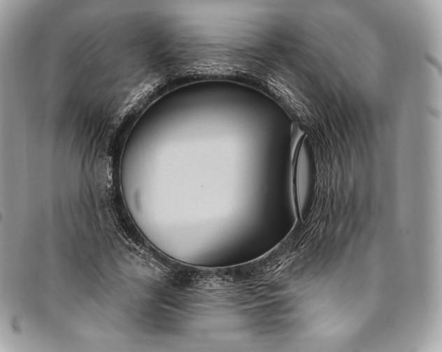 X0000095110731200712211320