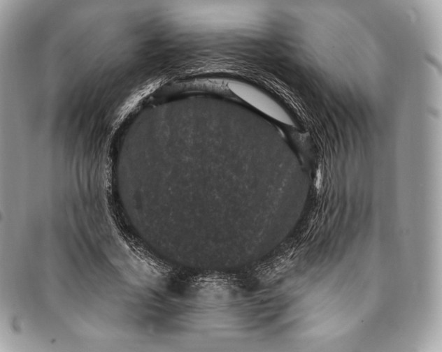 X0000095110732200712211320