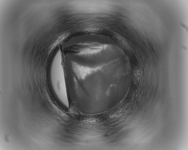 X0000095110734200712211320