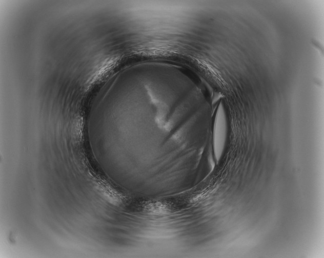 X0000095110735200712211320