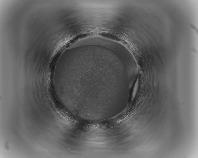 X0000095110736200712211320