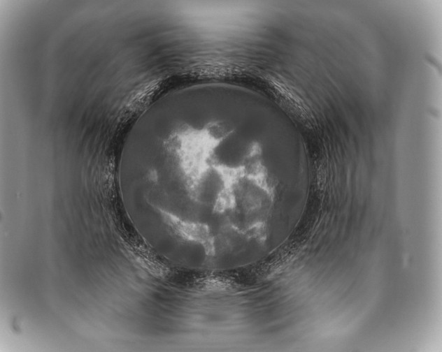 X0000095110737200712211320