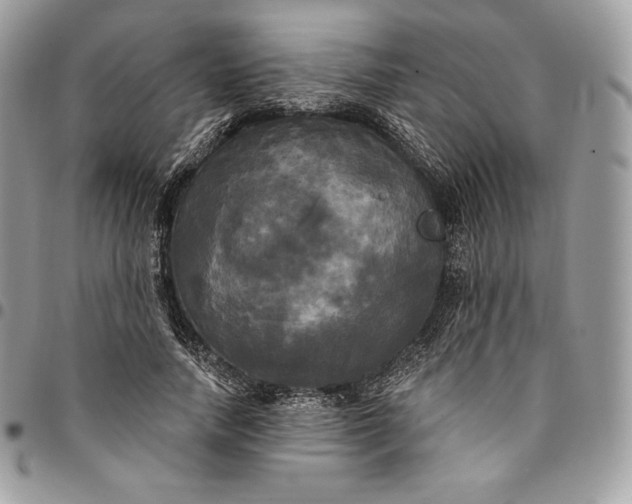 X0000095110738200712211320