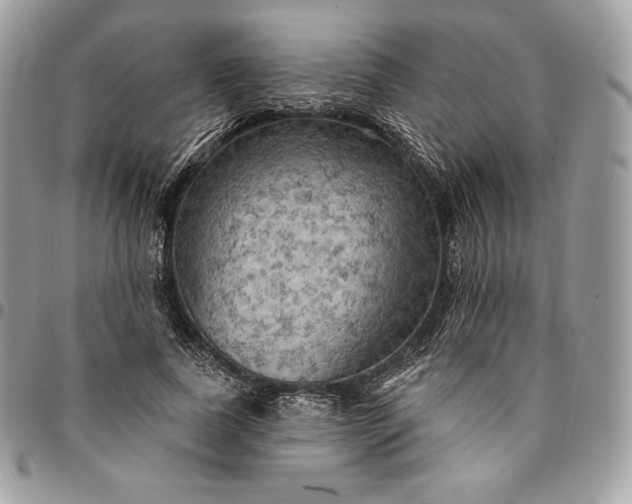 X0000095110739200712211320