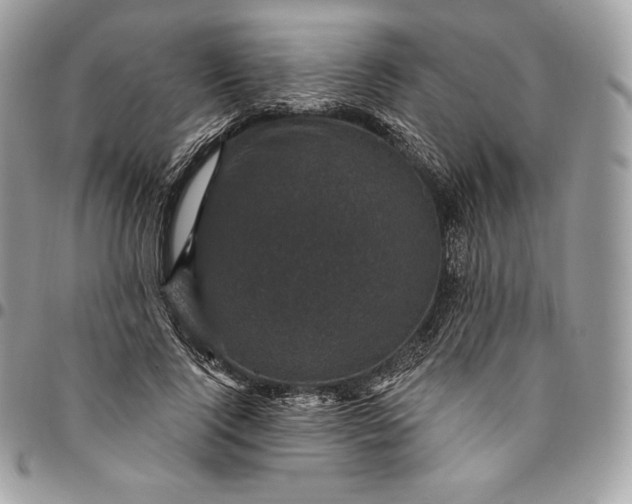 X0000095110740200712211320