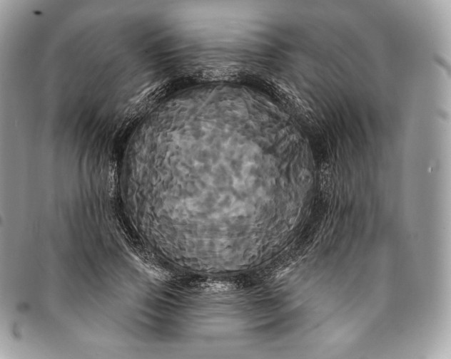 X0000095110741200712211320