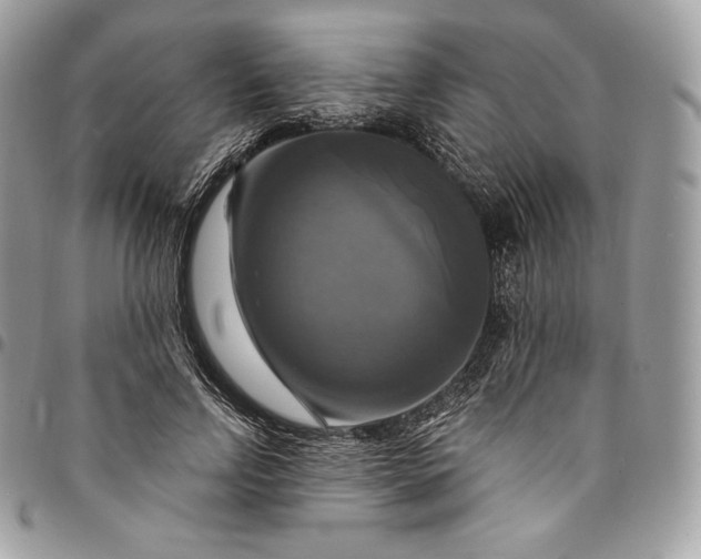 X0000095110742200712211320