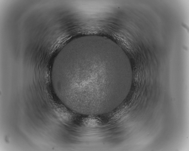 X0000095110743200712211320