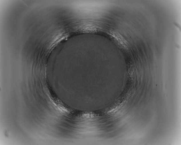 X0000095110744200712211320