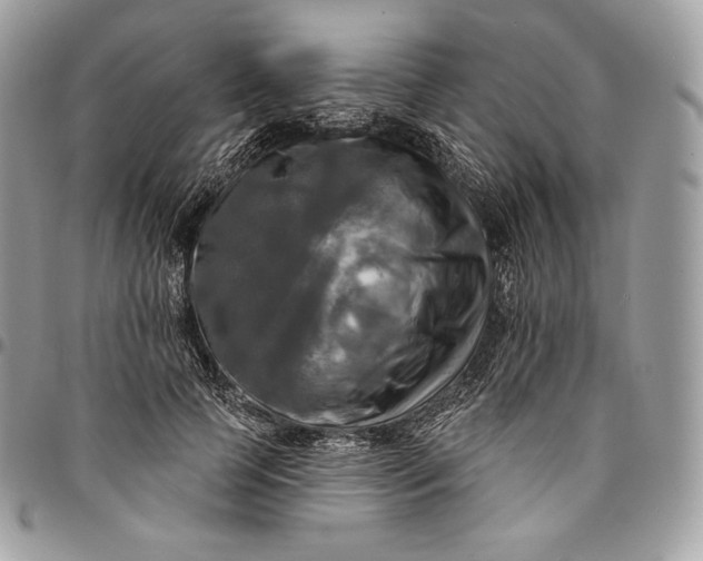 X0000095110745200712211320