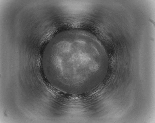 X0000095110746200712211320