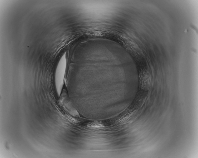 X0000095110747200712211320