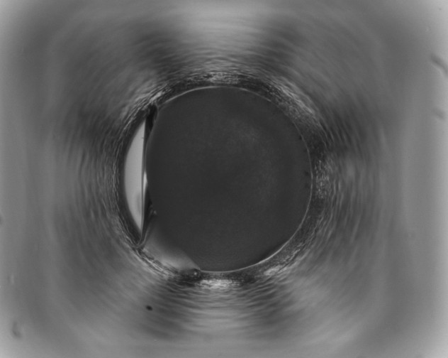 X0000095110748200712211320