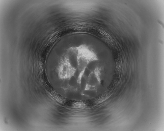 X0000095110749200712211320