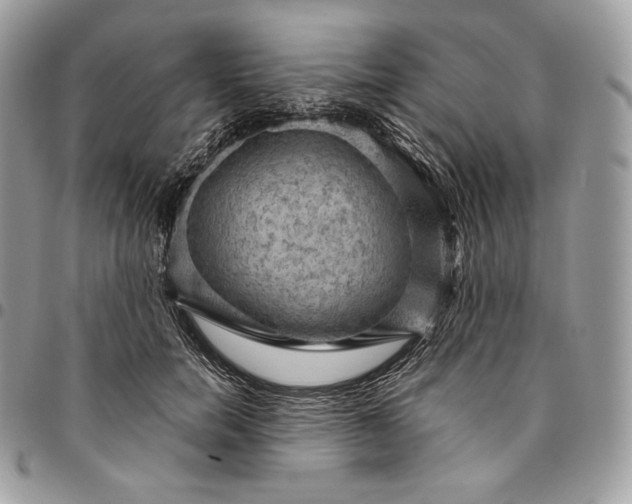 X0000095110750200712211320