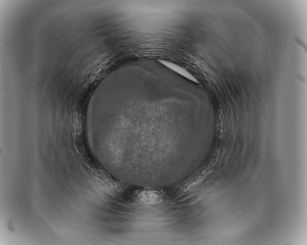 X0000095110751200712211320