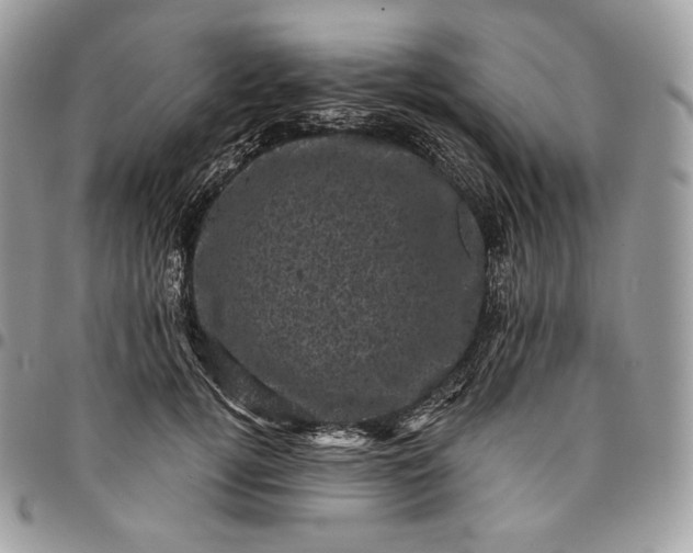 X0000095110752200712211320