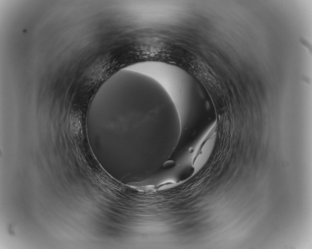 X0000095110754200712211321