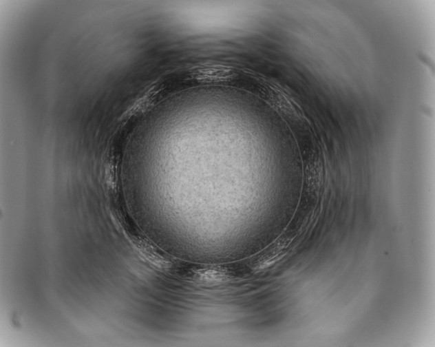 X0000095110755200712211321