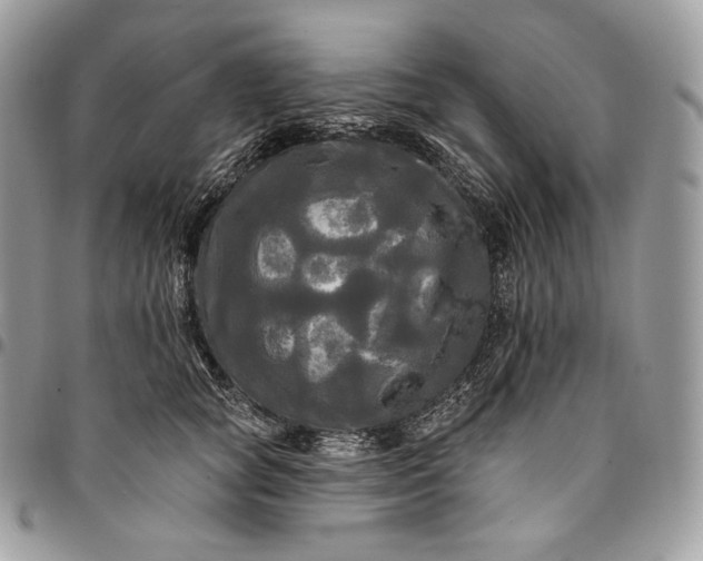 X0000095110757200712211321