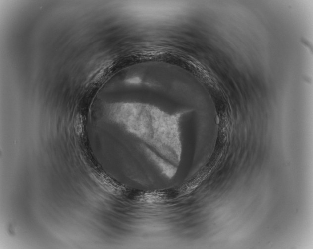 X0000095110758200712211321