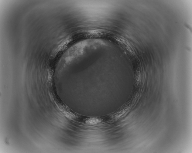 X0000095110759200712211321